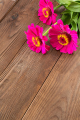 Flowers of a cinnamon in a bouquet on the background of a wooden old table in a rustic vintage style with copy space and space for text
