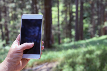 Woman holding phone in hand in the forest