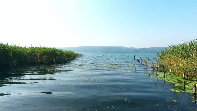 Aerial video Top view of the river with reeds. Sapanca lake in Turkey, Old wooden pier with lake and lotus