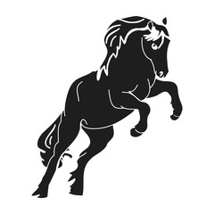 The horse stood on its hind legs. Black silhouette of a prancing stallion on a white background, vector