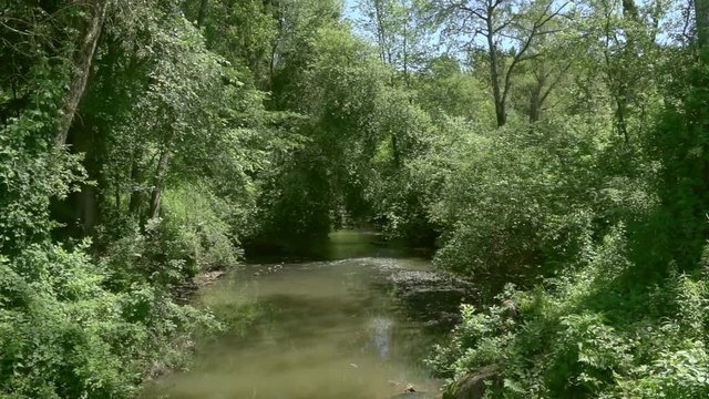Auslandshaft in der Steiermark in &Ouml;sterreich