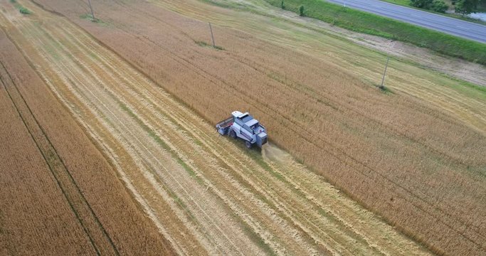 Aerial view Combine Harvester gathers the wheat at sunset. Harvesting grain field, crop season. Beautiful natural aerial landscape. Food industry.