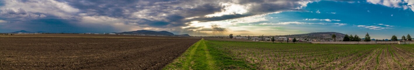 Fototapeta premium Death and life