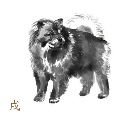 Chow chow oriental ink painting with golden Chinese hieroglyph "dog". Symbol of the new year. Original sumi-e art.