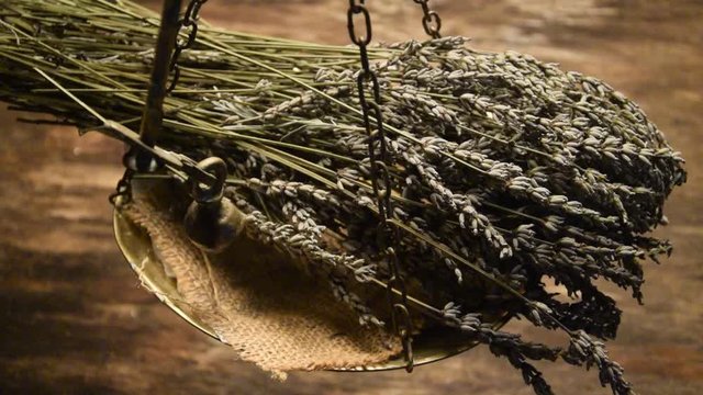 Lavandula Lavender Alhucema Levandule جنس  Lofnarbl&oacute;m Lawenda video Lavanda ضرم Lavande Gattung Cantueso Lavendel Лаванда 薰衣草 Lavendelsl&auml;ktet 