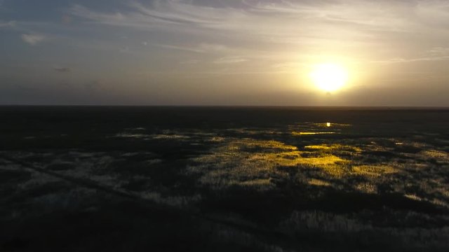 Aerial Flight over Wetlands