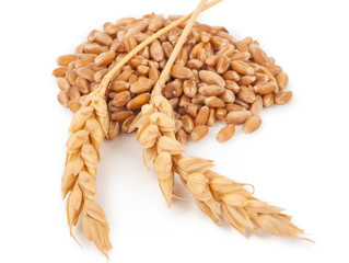 Ears of wheat and wheat grains