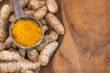Roots and turmeric powder - Curcuma longa