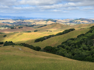 Obraz premium Sonoma county