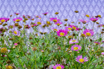 Fototapeta premium Colorful pink flowers on fabric for background