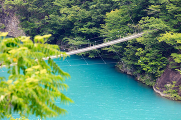 Naklejka premium 静岡、寸又峡の夢の吊り橋
