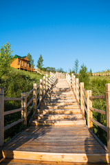 Wooden stairs outdoors