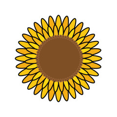 Beautiful flower gardening