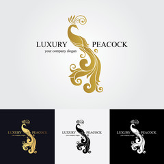 Obraz premium peacock logo
