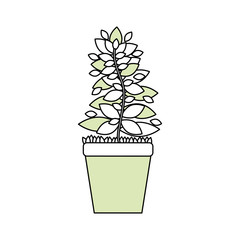 Plant in pot vector illustration graphic design