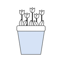 Beautiful flower in pot