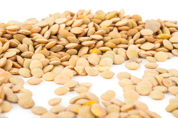 Lentils
