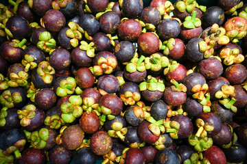 Mangosteen. A pile of mangosteen selling in a market, mangosteen background.