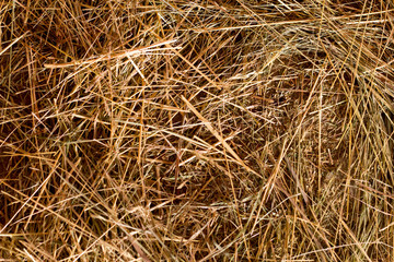 Straw. Background. Texture. Vintage. Top view.