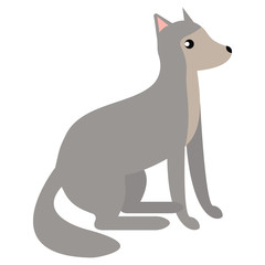 Wolf wild animal flat icon