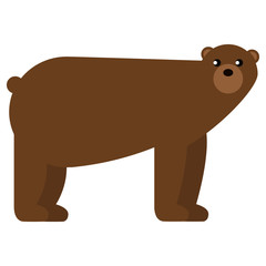 Bear wild animal flat icon