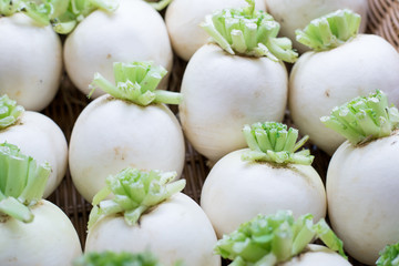 White Radish,white turnips also called Mollie in the garden