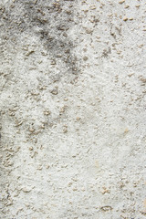 Texture cement pole background , cement dirty yellow color line