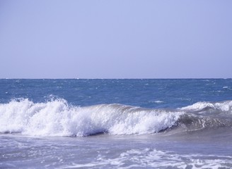 Beauty and The Beach