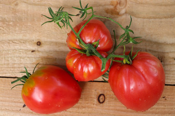 Tomaten