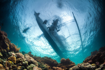 underwater seascape