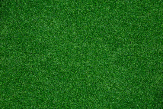 green grass texture background © photoraidz