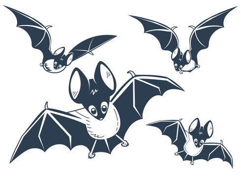 silhouette of bats night