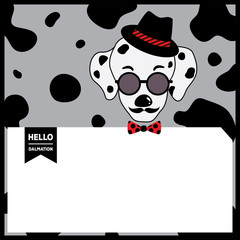 Portrait of dalmatian dog having mustache put on hipster hat and sunglasses with white space for message.
