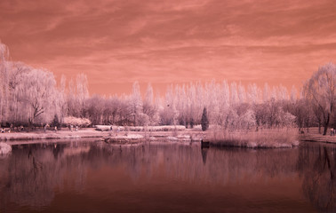 Infrared tree & lake