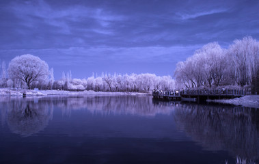 Infrared tree & lake