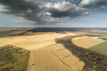 Harvest time, Latvia. © Janis Smits