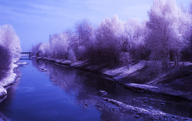 Infrared white tree & river