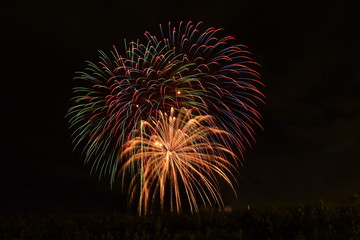 Fototapeta premium 夜空に咲く綺麗な花火