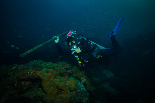 A scuba diver with a spear