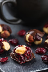 Hazelnut and cranberries in chocolate