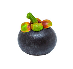 Mangosteen.