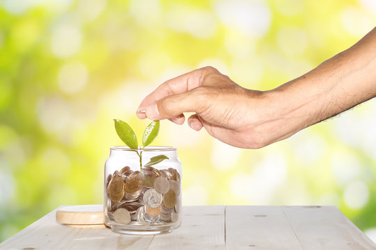 Man's hands are putting a coin into a glass jar with a small tree placed on a wooden table with a green bokeh background, Concepts for business and finance.