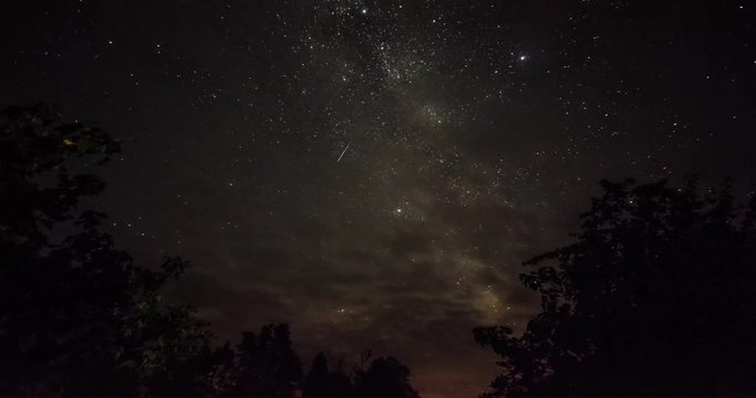 Timelapse of stars over trees at winter night then clouds coming on dark sky.