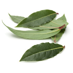 Obraz premium Aromatic bay leaves