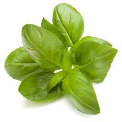 Sweet basil herb leaves isolated on white background closeup