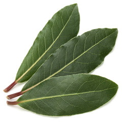 Aromatic bay leaves