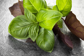 Sweet basil leaves over black stone background. Top view.