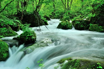 奥入瀬渓流