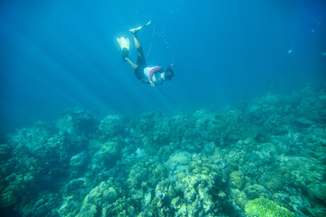 Naklejka na ściany i meble Snorkeling at the coral reef with sling shot on fish hunting