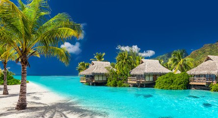 Lieu de vacances sur une île tropicale avec des palmiers et une incroyable plage animée